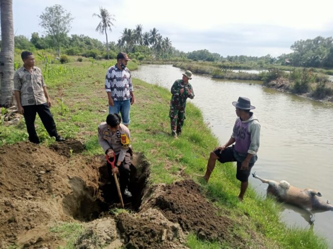 
					Sapi Milik Warga Mati Keracunan, Gerak Cepat Bhabinkamtibmas Lakukan Mediasi