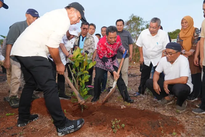 
					Tanam Bibit Nangka Madu di Bulukumba, Pj Gubernur Bahtiar: Jangan Biarkan Lahan Kosong